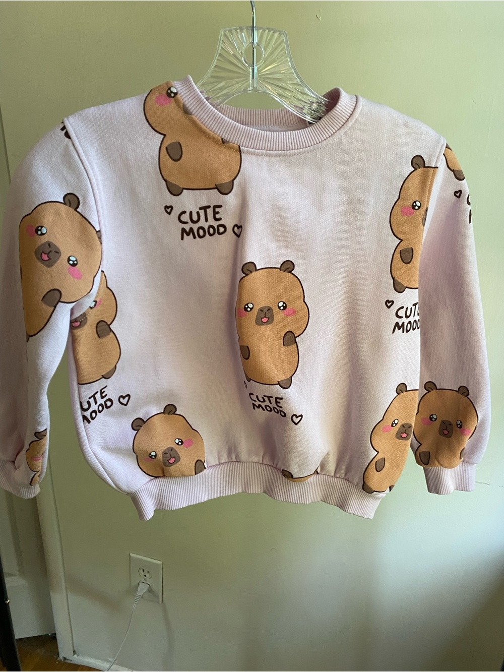 H&M Capybara Cute Mood Sweatshirt Girls 6X-7 Pink